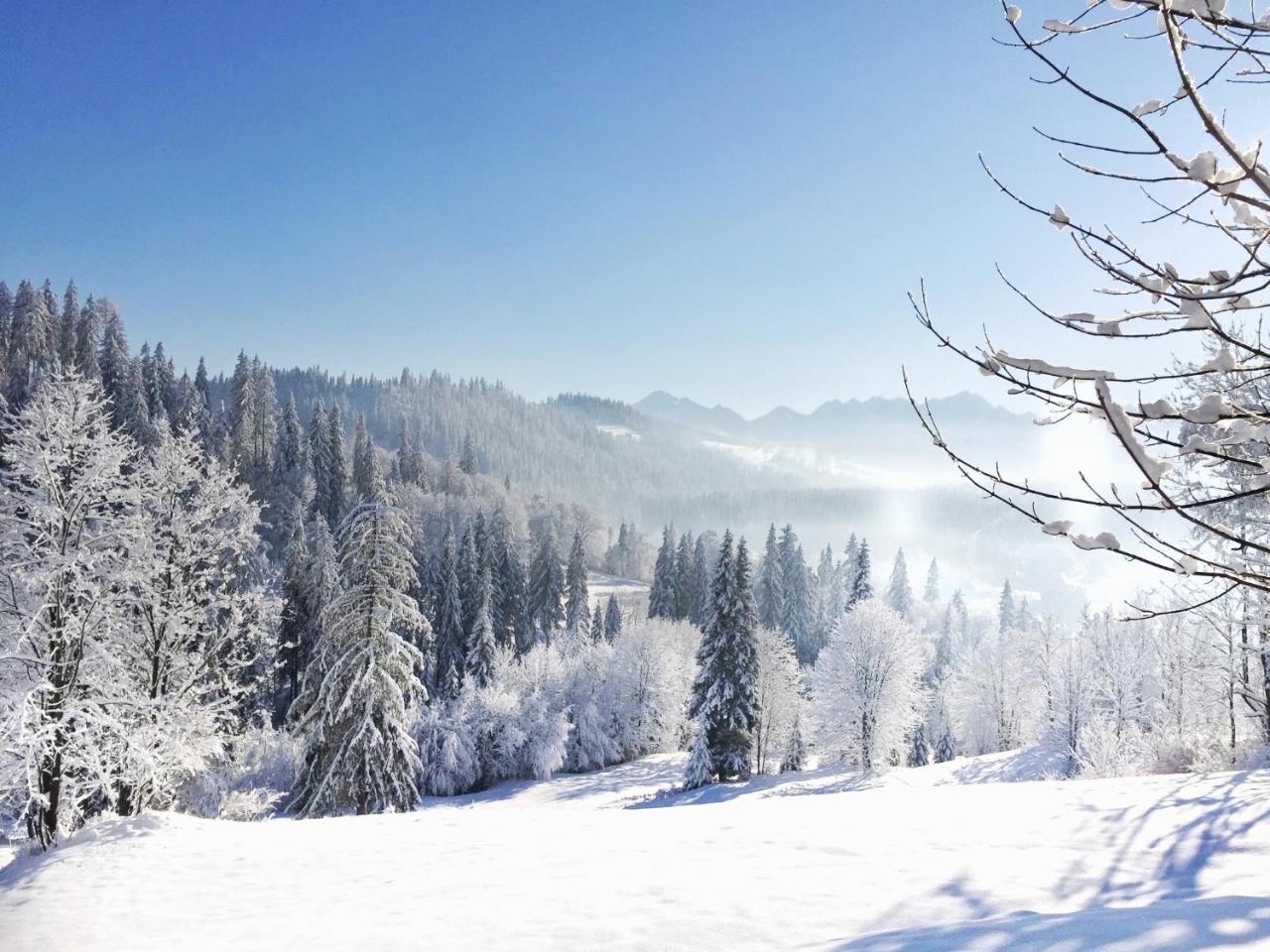 Na Kosnych Poronin Exterior foto